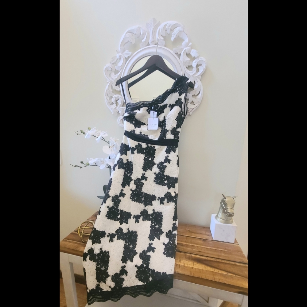 LAUNDRY BY SHELLI SEGAL Women's Women's Organza Dress Dress, Black, 2